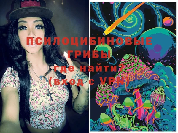 шишки Абинск
